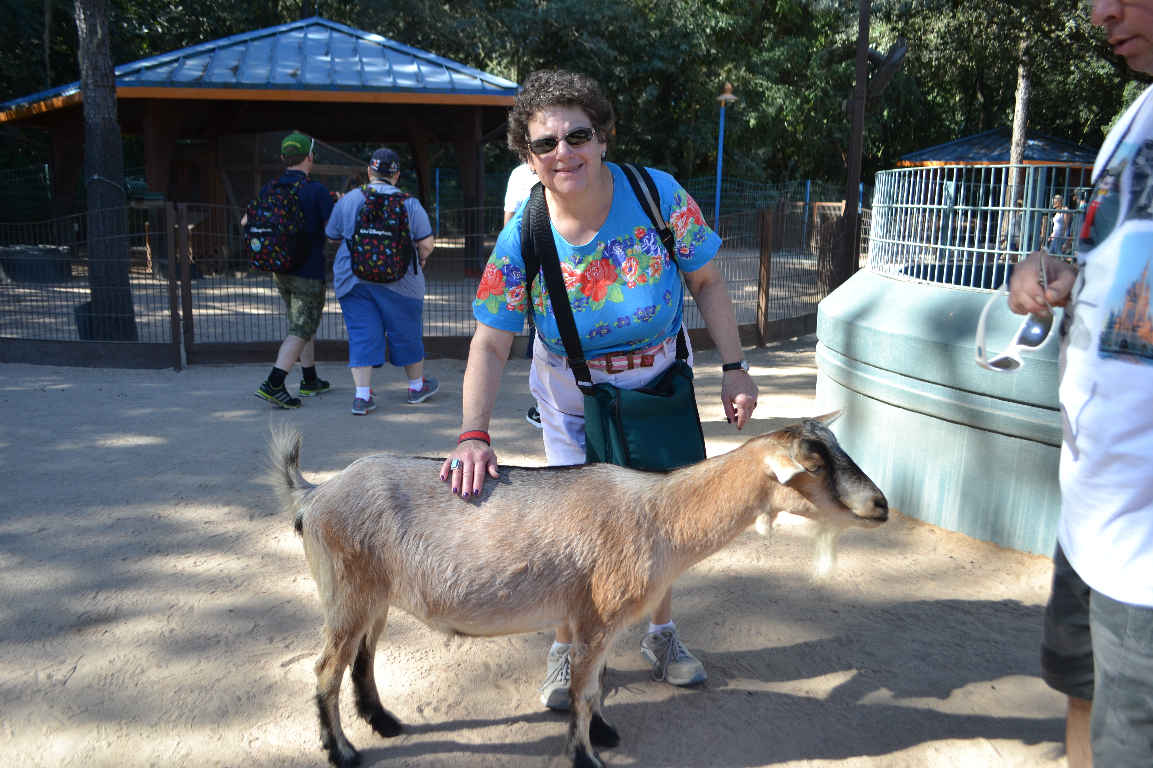 Vacationer petting a goat