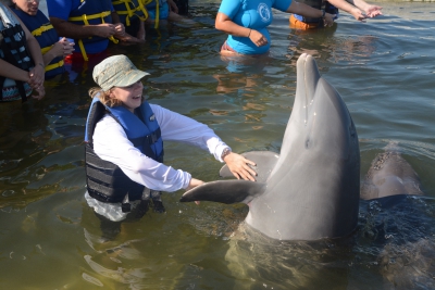 Vacationer touching the fins of a dolphin.