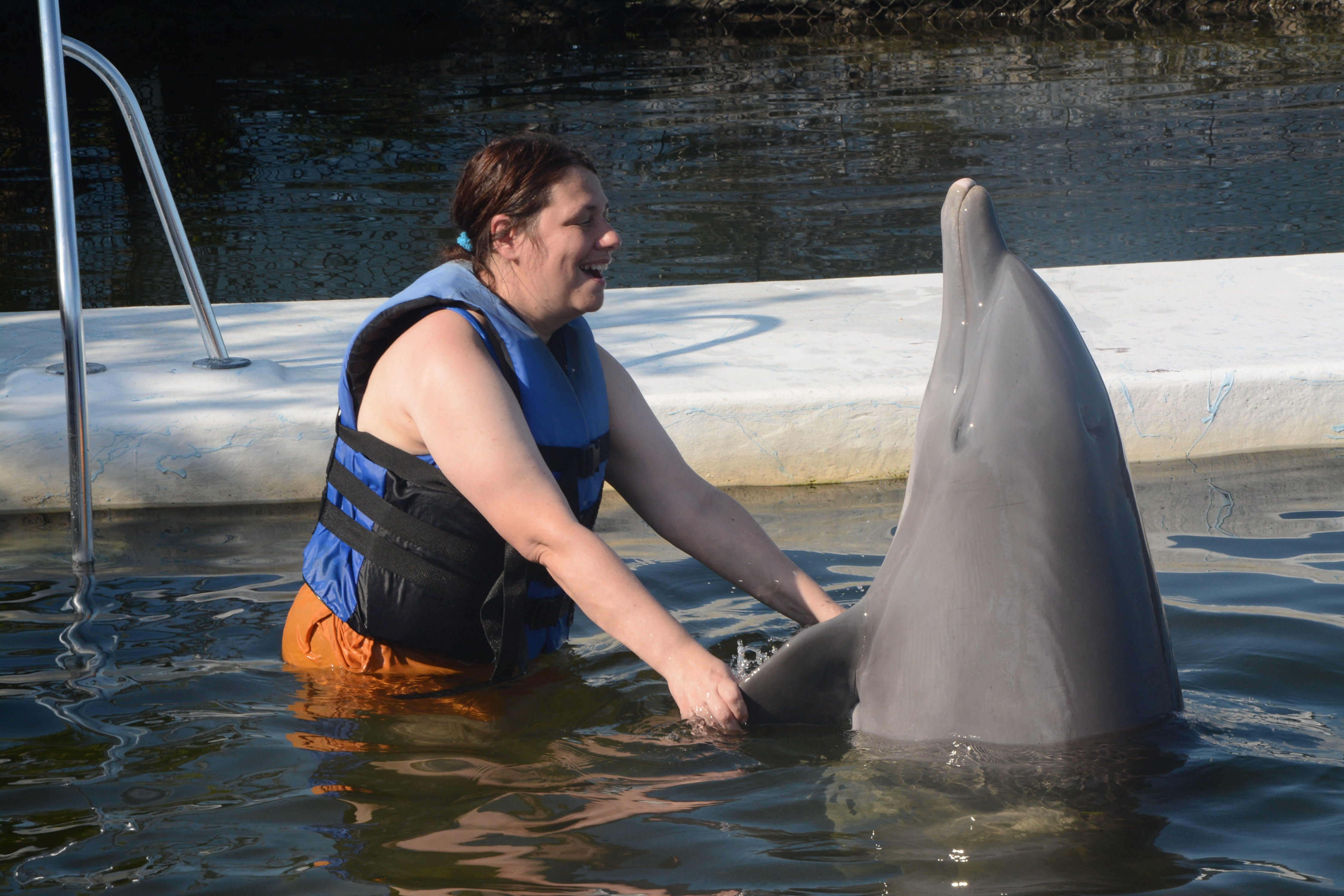 Vacationer touching the fins of a dolphin.