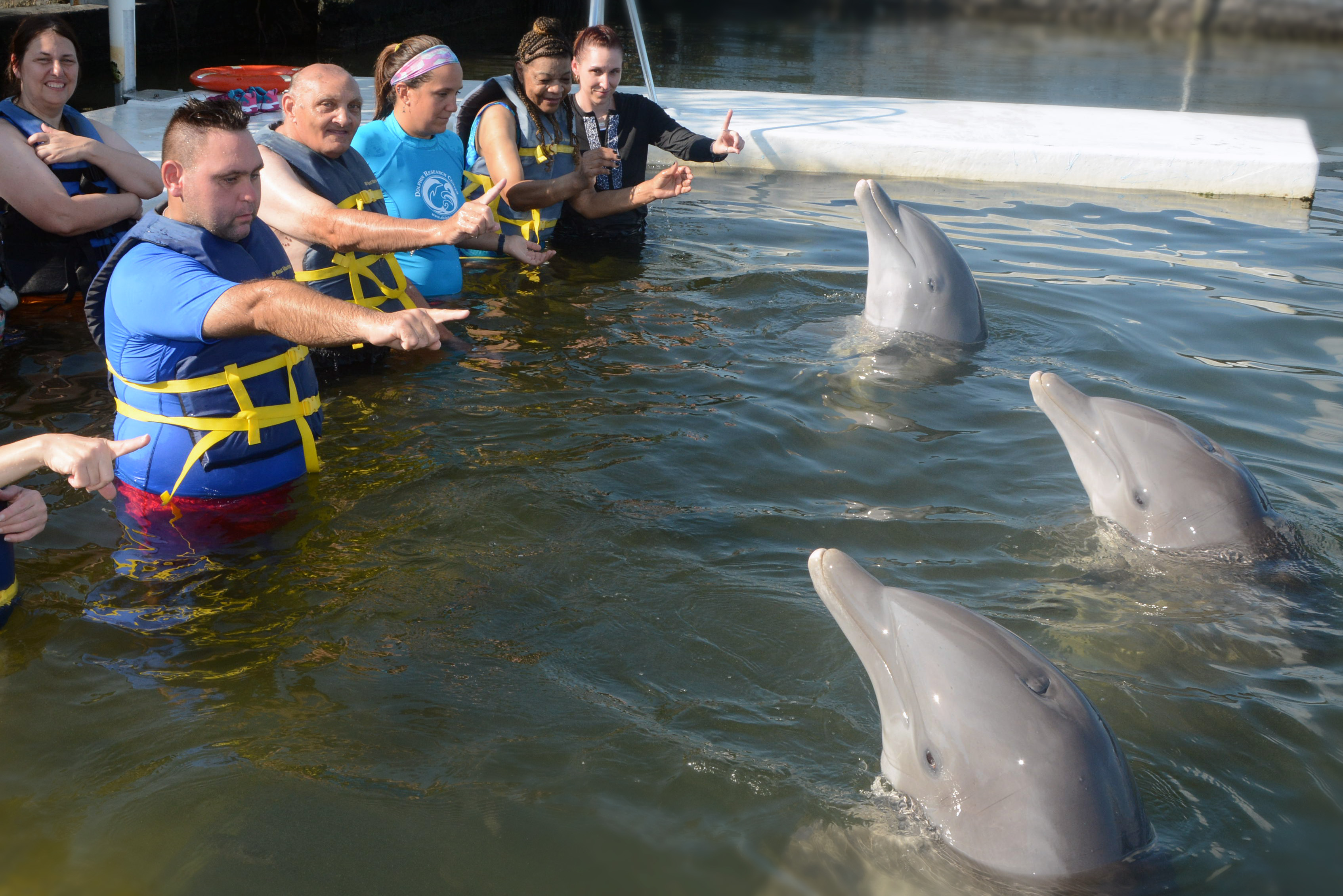 Using hand signals to communicate with dolphins.